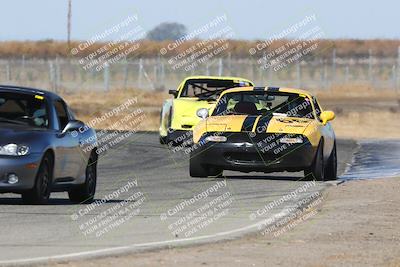 media/Nov-16-2024-CalClub SCCA (Sat) [[641f3b2761]]/Group 1/Star Mazda (Qual)/